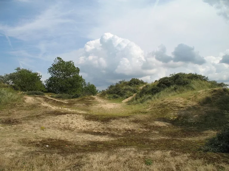 Hoge Blekker & Doornpanne — Koksijde / Oostduinkerke